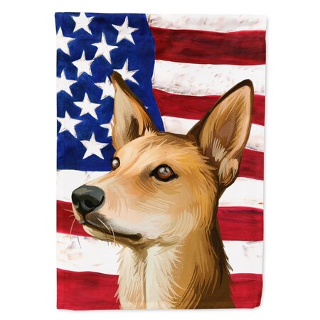 Carolines Treasures Indian Pariah Dog American Canvas House Flag - 28 x 0.01 x 40 in. CK6567CHF